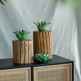 SET TRONCO RUSTICO