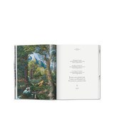 EL LIBRO DE LAS PALMERAS 26x25cm